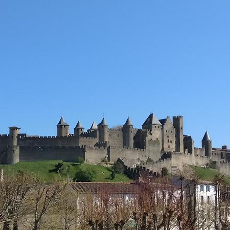 La Casa De Margarita Y Sisco, Villa Avec Piscine Carcassonne Bagian luar foto